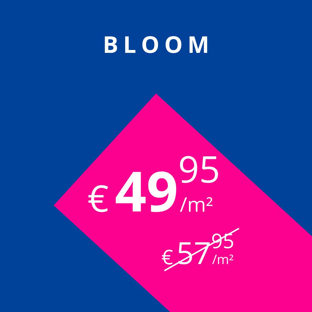 Promo Quick-Step Bloom