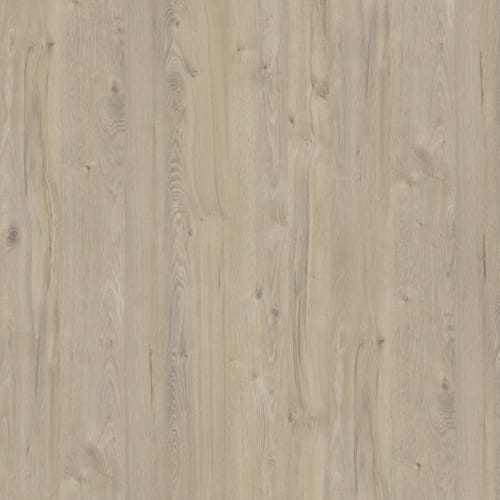 Kronodesign Panneau mélaminé K081 PW Chêne satiné littoral Bois pur 2800 x 2070 x 18 mm