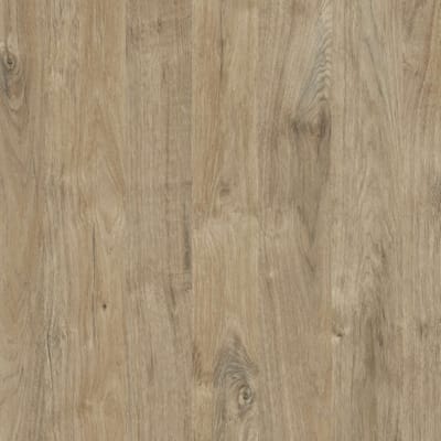 Kronodesign Panneau mélaminé K361PW Chêne Gold Harbor Bois pur 2800 x 2070 x 18 mm