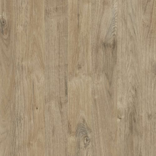 Kronodesign Panneau mélaminé K361PW Chêne Gold Harbor Bois pur 2800 x 2070 x 18 mm