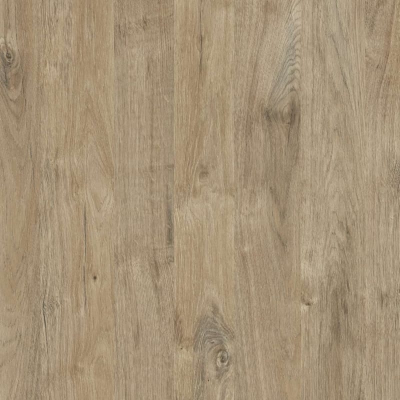 Kronodesign Panneau mélaminé K361PW Chêne Gold Harbor Bois pur 2800 x 2070 x 18 mm