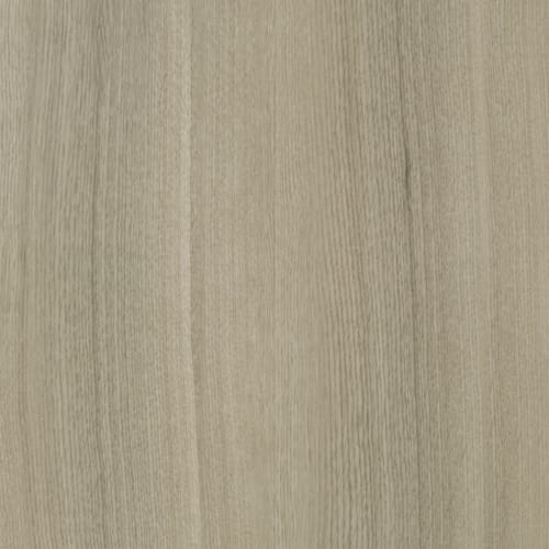 T-Profil COREtec ESSENTIALS - Charleston Oak - 31178 - 2400mm x 31mm x 13mm