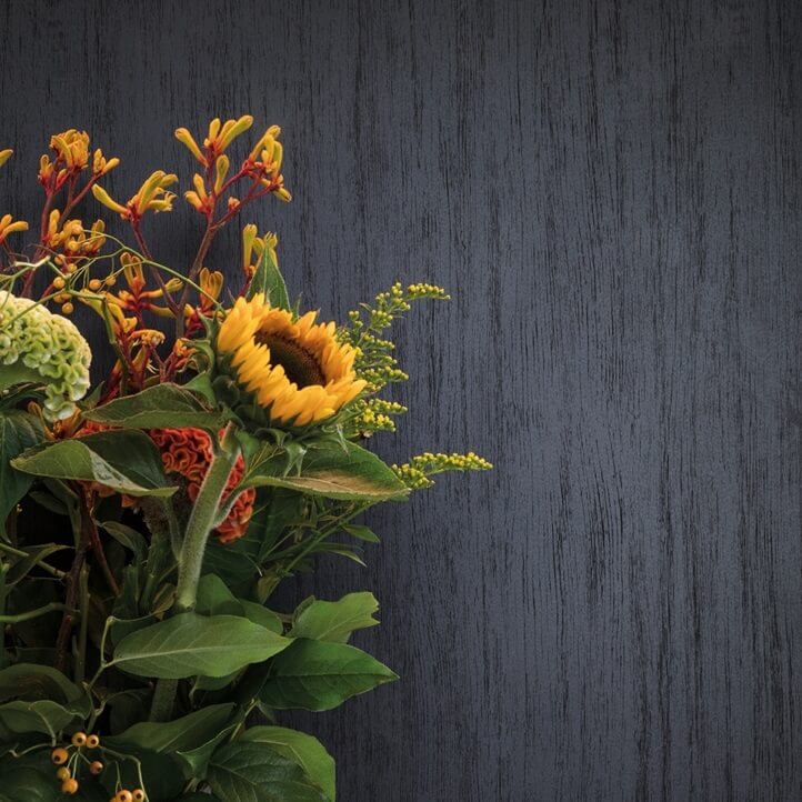 Panneau Meuble Mélaminé Elegant Black 113 W06 2500 x 600 x 18 mm