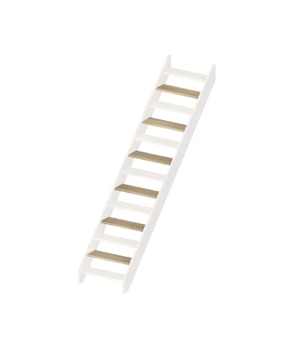 Helsinki - Hêtre 13 marches droites