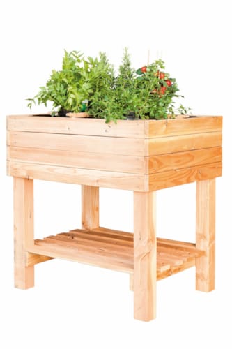 Carré de potager table - 800 x 600 x 800 - Mélèze