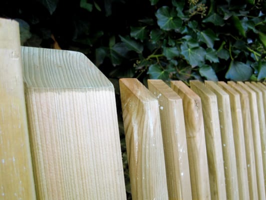 Porte de jardin Modena 1m x 1m80