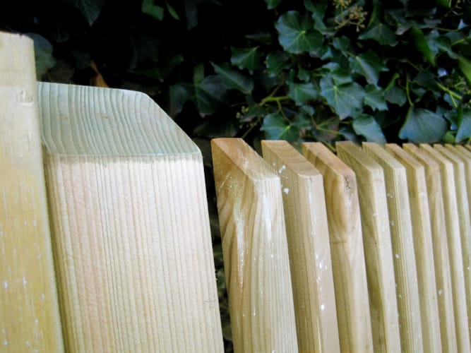 Porte de jardin Modena 1m x 1m80