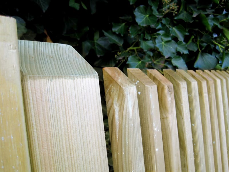 Porte de jardin Modena 1m x 1m80