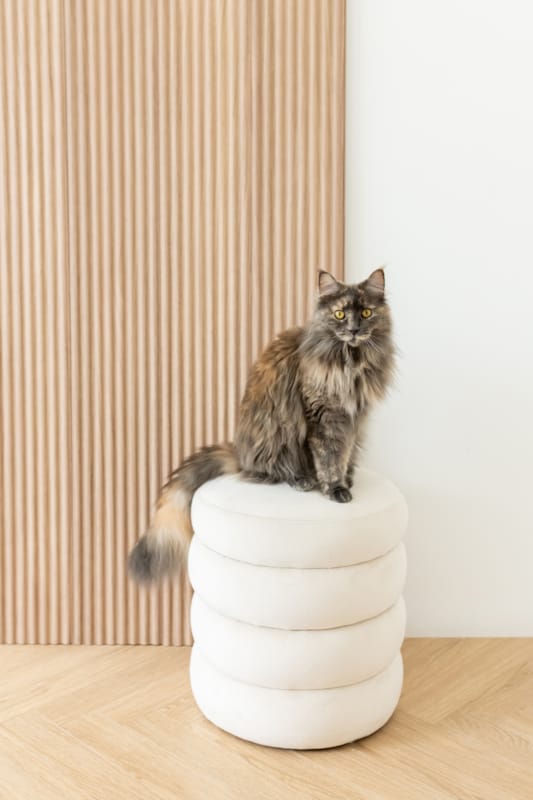 Lambris Maestro Wave - Natural Oak NO153 - 14 x 213 x 2770 mm