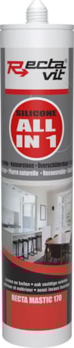 RM 170 all-in 1 - Mastic Noir - 310 ml