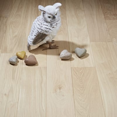 SRC parquet massif chêne français Givry brut - 22 x 150 mm