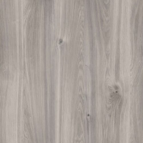 Kronodesign Panneau mélaminé K357PW Chêne gris-beige Castello Bois pur 2800 x 2070 x 18 mm