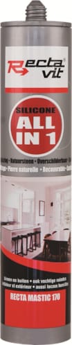 RM 170 all-in 1 - Mastic Transparent - 310 ml