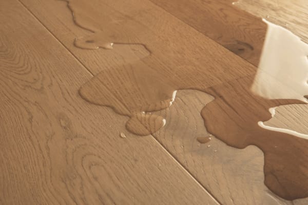 Quick-Step parquet Amato - Chêne châtaigne foncé extra mat 7446 - 13 x 145 x 1820 mm