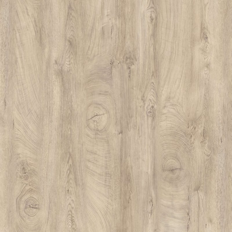 Kronodesign Panneau mélaminé K107 PW Chêne élégant gros grains Bois pur 2800 x 2070 x 18 m