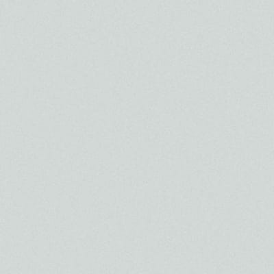 Panneau MDF prépeint hydrofuge 2440 x 1220 x 18 mm