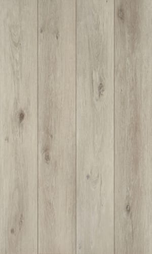 Coretec vinyle Naturals + Swamp  - 50 LVPE 859 - 8 x 182 x 1220 mm