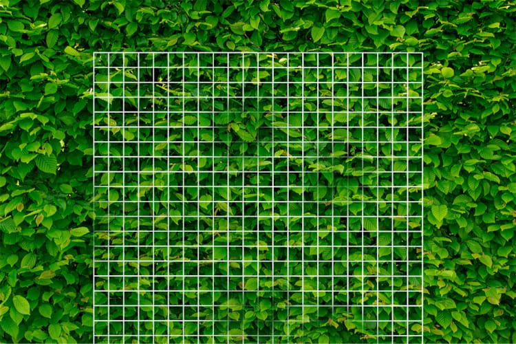 Treillis en structure galvanisé avec cadre en bois 0,90 m x 1m80