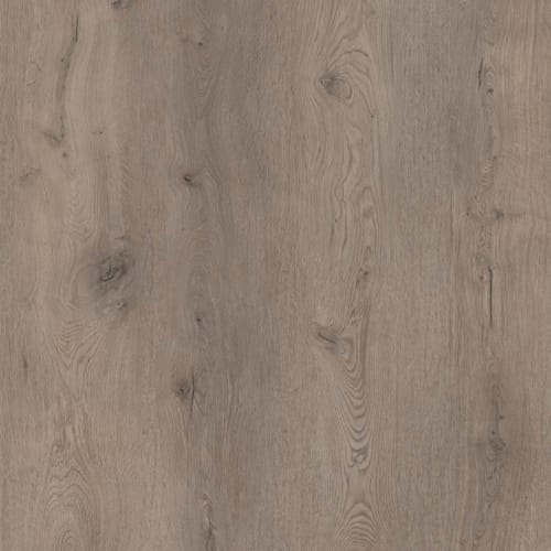 COREtec vinyle XL-END - Belvoir - 50 LVREXL 2594 - 1220 x 182 x 8 mm