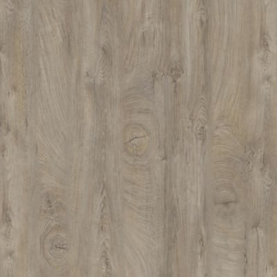 Kronodesign Panneau mélaminé K105 PW Chêne brut gros grains Bois pur 2800 x 2070 x 18 mm