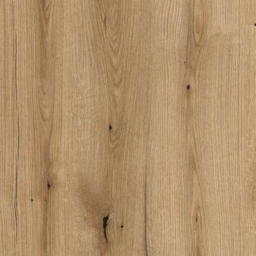 Kronodesign Panneau mélaminé K365PW Chêne Coast Evoke Bois pur 2800 x 2070 x 18 mm