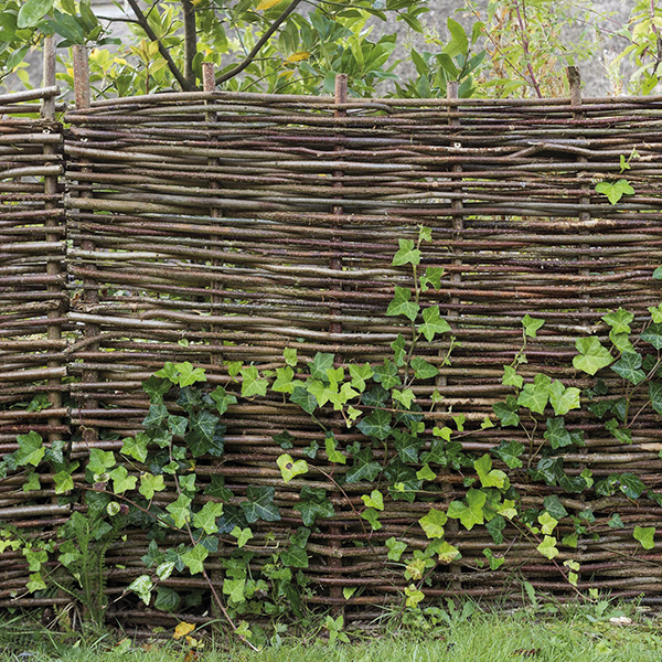 Écran de jardin Fedra - Panneau lourd en noisetier - 1800 x 1800 mm