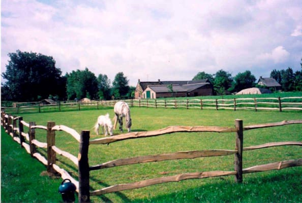 Poteaux fendus intermédiaire 2lisses - Post & Rail 2m