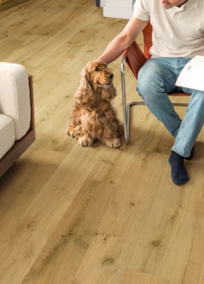 Parquet stratifié Quick-Step Impressive Ultra - Chêne truffier 8256 - 12 x 190 x 1380 mm