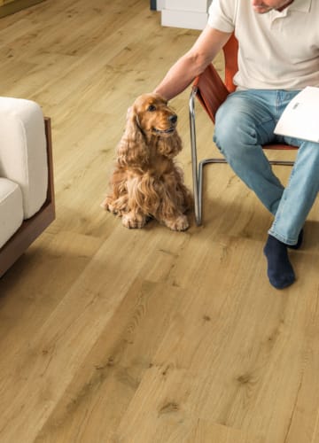 Parquet stratifié Quick-Step Impressive Ultra - Chêne truffier 8256 - 12 x 190 x 1380 mm