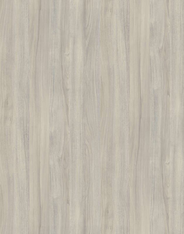 Kronodesign Panneau mélaminé K019 PW Orme argenté Bois pur 2800 x 2070 x 8 mm