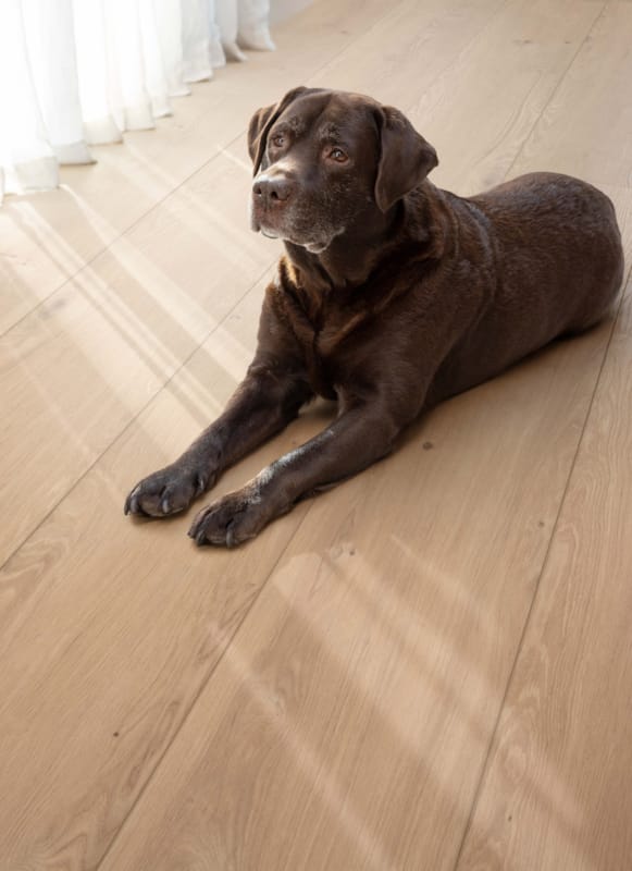 Coretec vinyle XL-END - Kylemore - 50 LVREXL 2686 - 15 x 305 x 2100 mm