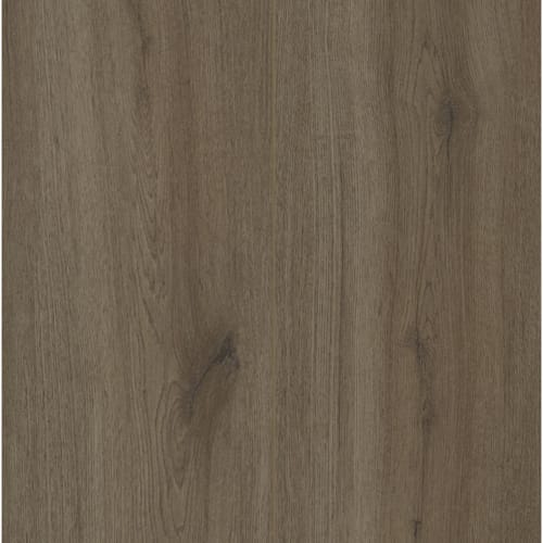 T-Profil COREtec ESSENTIALS - Cleveland Oak - 31486 - 2400mm x 31mm x 13mm