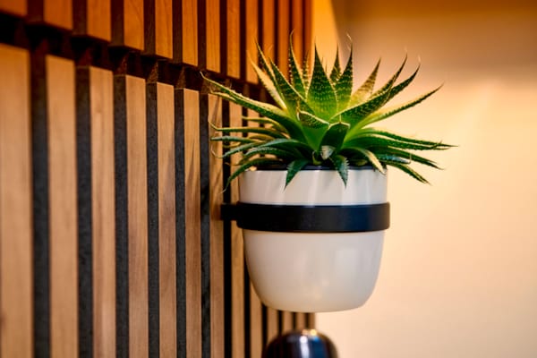 Ter Hürne SilentDesign LivingWall - Soeren - Anneau pour pot de fleurs