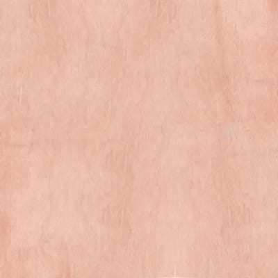 Panneau multiplex hêtre 1 face 2500 x 1220 x 25 mm