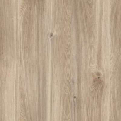 Kronodesign Panneau mélaminé K358PW Chêne miel Castello Bois pur 2800 x 2070 x 18 mm