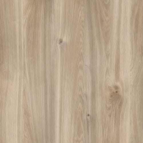 Kronodesign Panneau mélaminé K358PW Chêne miel Castello Bois pur 2800 x 2070 x 18 mm