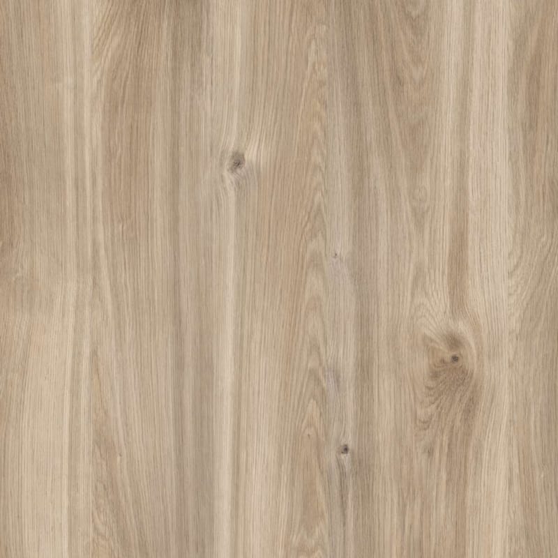 Kronodesign Panneau mélaminé K358PW Chêne miel Castello Bois pur 2800 x 2070 x 18 mm
