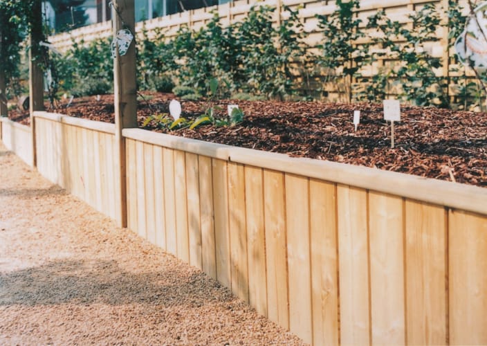 Planche massive rain/lang 28 mm x 145 mm x 1m80