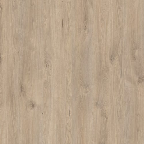 Huisserie réglable Portalit Bolzano 2015 x 730 mm / 145 mm din droite