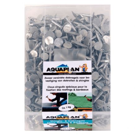 Clous de Toiture 1 kg  - 20 mm