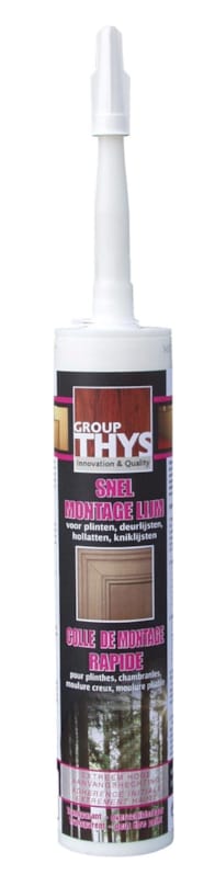 Colle de montage Thys 310 ml