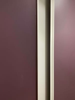 Façade Pliante 2 vantaux Modèle origine Profil Surf Décor Prune 2381x1600 mm