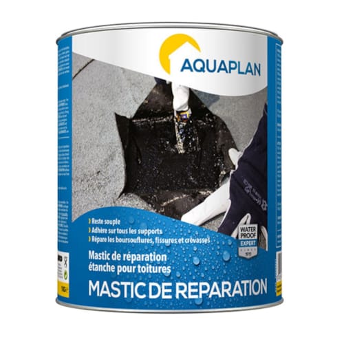 Mastic de réparation 1 kg
