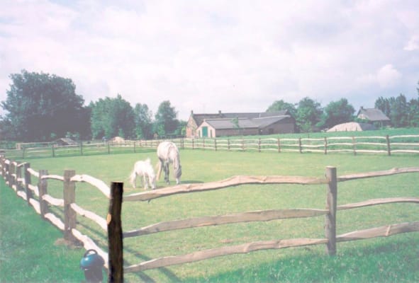 Poteaux ronds d angle 3 lisses 2.00m - Post & Rail