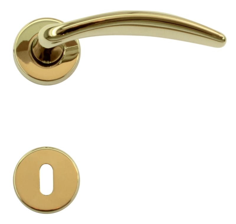 Poignée de porte Francy Titane - R+E