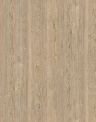 Kronodesign Panneau mélaminé K076 PW Chêne expressif sable Bois pur 2800 x 2070 x 8 mm