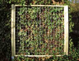 Treillis en structure galvanisé avec cadre en bois 1m80x1m80