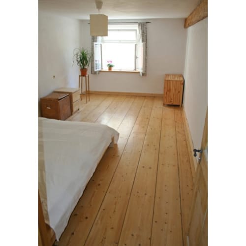 HM1 1L - Traitement préventif et curatif des bois - Incolore