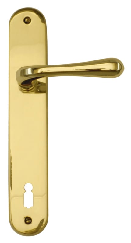 Poignée de porte Greta Laiton