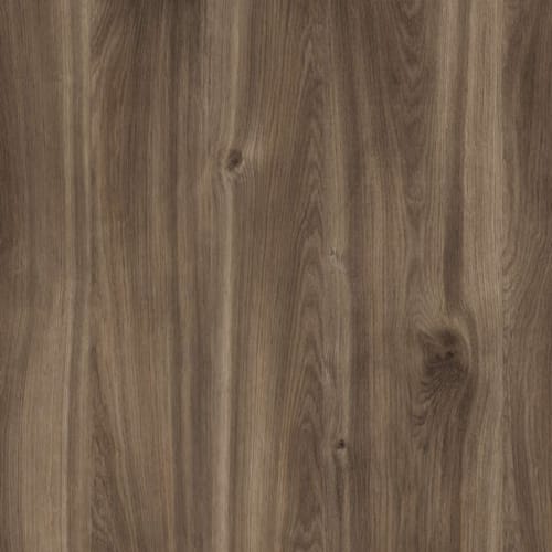 Kronodesign Panneau mélaminé K359PW Chêne cognac Castello Bois pur 2800 x 2070 x 18 mm
